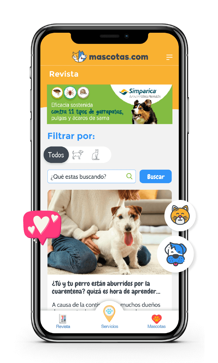 articulos mascotas
